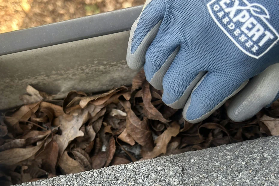 Gutter Cleaning High Springs FL