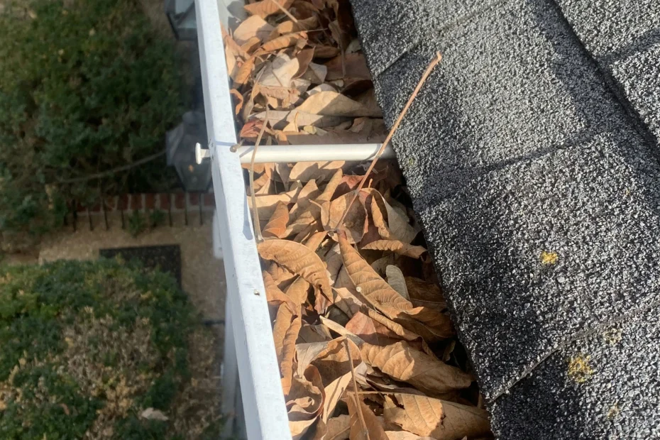 Gutter Cleaning High Springs FL